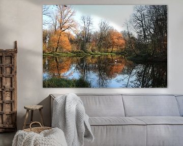image miroir dans les couleurs de l'automne