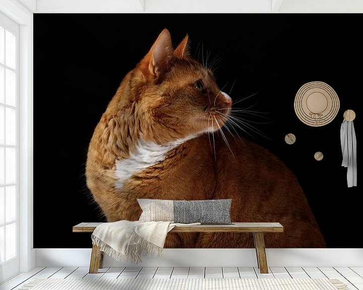 Sfeerimpressie behang: Nieuwsgierige kat van Marcel Runhart