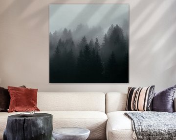 Coniferen in de mist