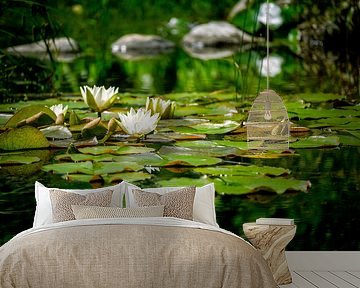 Witte waterlelie in de tuinvijver