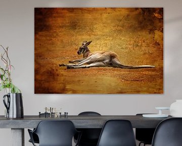 Kangaroo