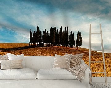 San Quirico d'Orcia von Bibi Veth