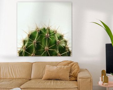 Cactus van Heiko Kueverling