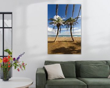 Palms on the beach, Malaga by Caught By Light