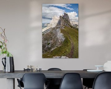 Seceda Dolomieten. van Menno Schaefer