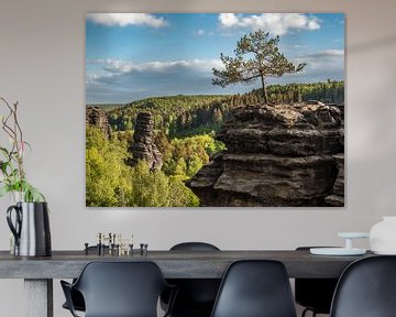 Bielatal in Saxon Switzerland - View towards Schiefer Turm by Pixelwerk