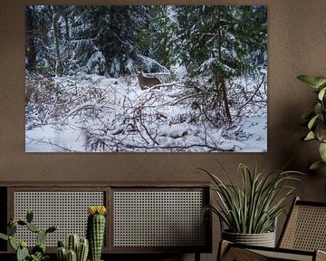 Jong hert in de sneeuw van Bassie's winkel