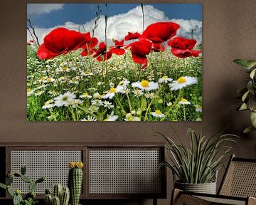 Coquelicots sur Tineke Visscher