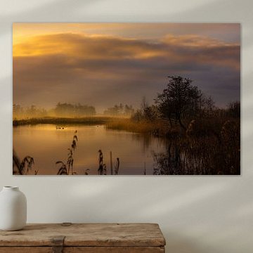 Lever de soleil à De Wieden