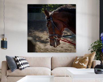 Portret van een werkend paard