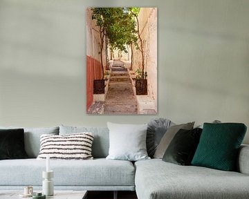 Steegje in Ibiza van Gijs de Kruijf
