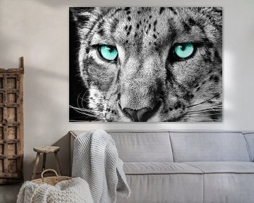 Snow leopard III van Photo Art SD