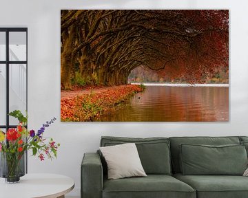 Gebogen bomen in herfstkleuren van Sabina van Dijk