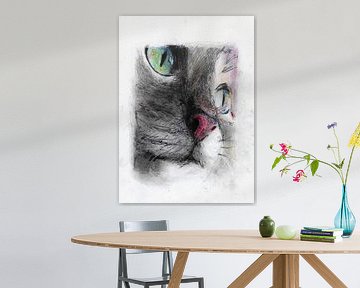 CAT MACRO COLOR by Vincent Jacobs