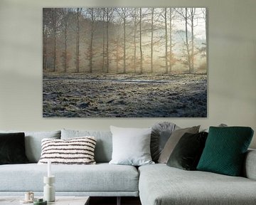 Winter, bomen met tegenlicht en sneeuw II van Klaas Dozeman