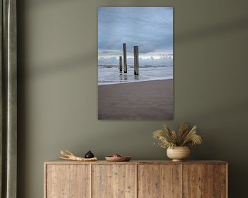 Palendorp strand Petten aan zee, Nederland van Eigenwijze Fotografie