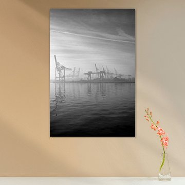 Rotterdam Ports - Maasvlakte