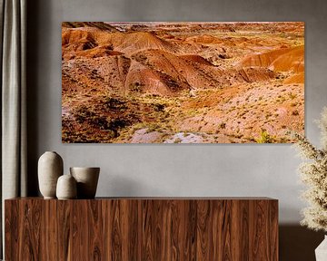 Kleurrijke heuvels en beschilderde woestijn in het versteende woud nationaal park in Arizona USA van Dieter Walther