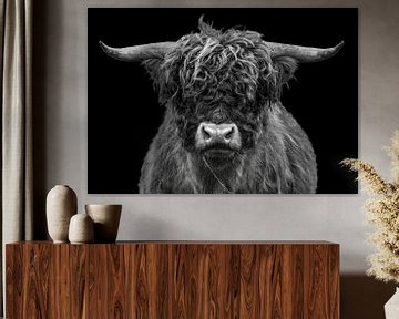 Portret van een Schotse Hooglander in zwart-wit van Ans Bastiaanssen