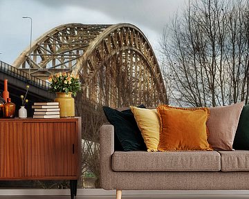 Nijmegen Hochwasser #10 von Lex Schulte