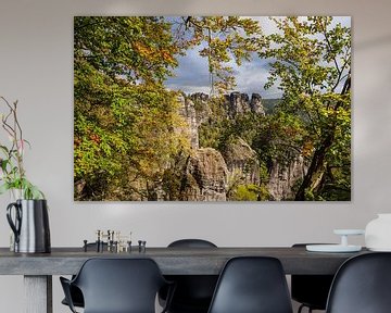 Blick auf Felsen und Bäume in der Sächsische Schweiz