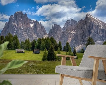 Alpe di Siusi - Sassolungo in summer by Teun Ruijters