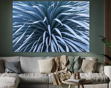 Tropische yucca met staal blauwe tinten van Denise Tiggelman