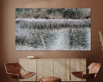 Heide in winterperiode van JW Image Solutions