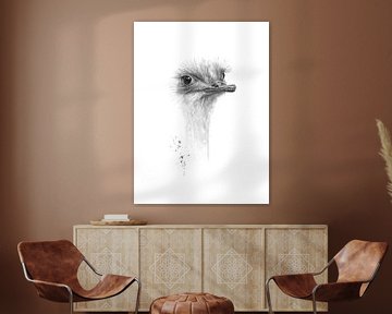 Struisvogel in zwart wit van Atelier DT