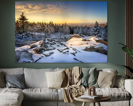 Aperçu de la chambre