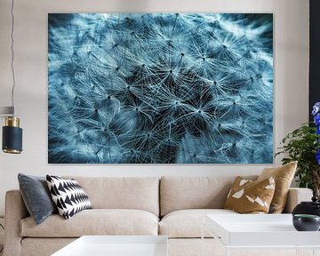 Makro Pusteblume Flugsamen abstrakt in kühlem blau von Dieter Walther