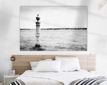 Meeuw op zee in Lissabon, Portugal | rauw natuurportret in zwart wit | reisfotografie