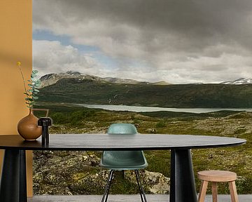 Panoramisch zicht op Jotunheimen, Noorwegen. van Sean Vos