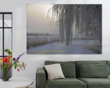 sneeuwlandschap