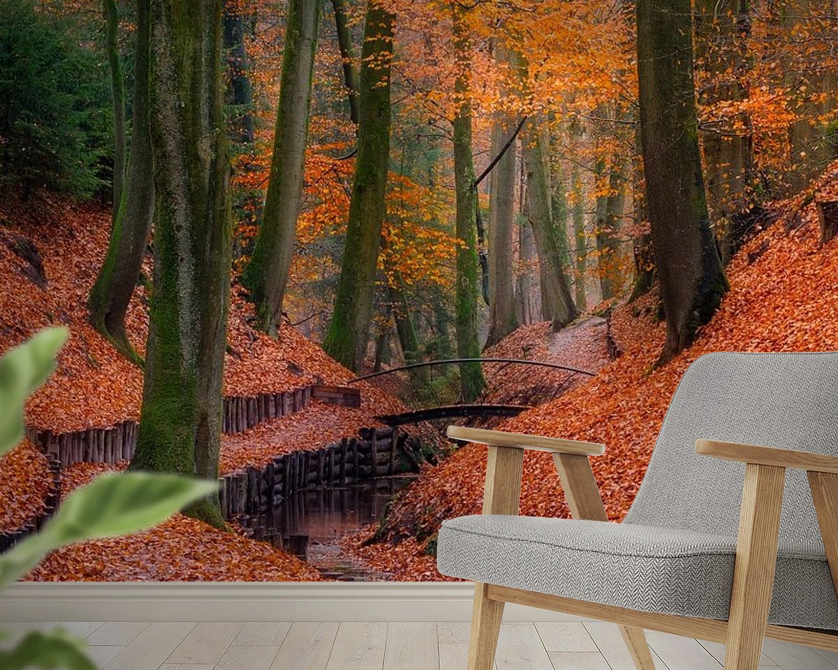 Raumvorschau