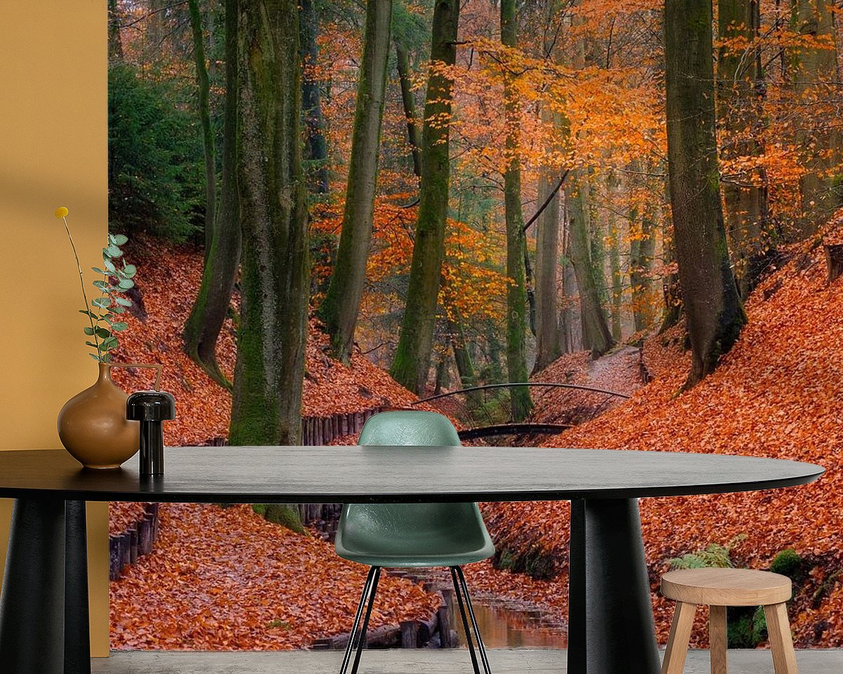 Raumvorschau