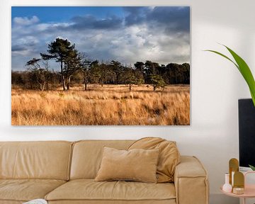 Malpie nature reserve near Valkenswaard - nature on the wall / wallpapernt by Marianne van der Zee