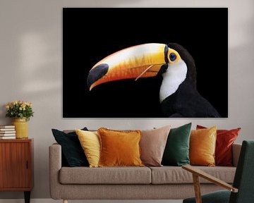 Tukan auf Schwarz - Brasilien