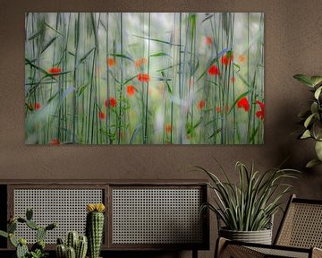 Poppies in a wheat field by René van Leeuwen