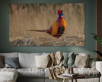 Pheasant by Jan-Willem Mantel