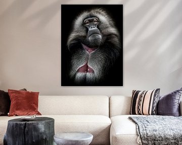 Portrait of a Gelada on black background by Jolanda Aalbers