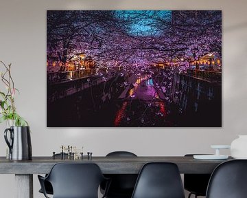 Des cerisiers en fleurs dans un Tokyo nocturne sur Mickéle Godderis