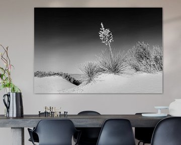 Monochrome Impressionen - White Sands National Monument von Melanie Viola