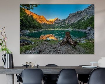 Alpenglühen am Gosausee mit Dachstein von Dieter Meyrl