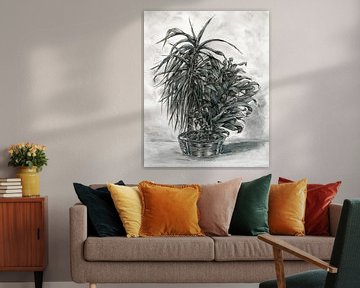 Plant charcoal drawing