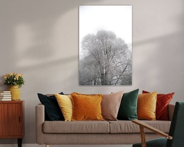 Wilgenboom en heldere hemel van Richard Pruim
