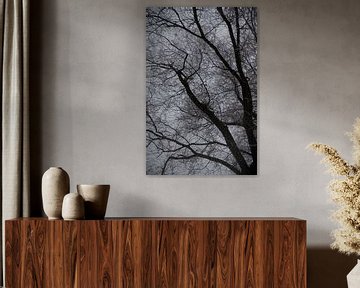 Winterwilg en grijze hemel van Richard Pruim