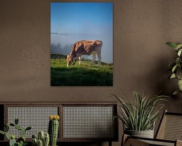 A beautiful cow from the Allgäu I by calvaine8