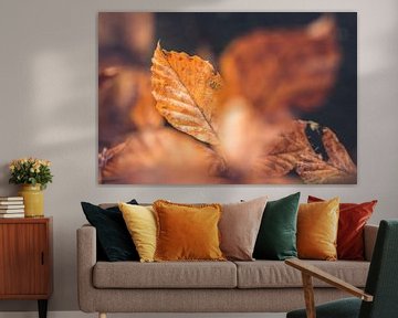 Berkenbladeren in oranje herfstkleur van Fotografiecor .nl