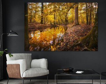 Le ruisseau Leuvenum en automne sur Fotografiecor .nl